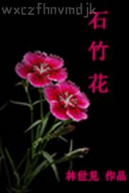 廁所偷拍av視頻手機(jī)版