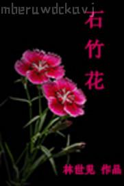 插插插綜合最新網(wǎng)址