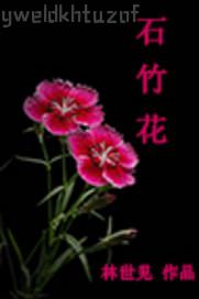 木木壞先鋒